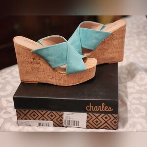 Charles By Charles David Robin Egg Blue Wedges